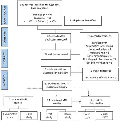 Neuropsychological dimensions related to alterations of verbal self-monitoring neural networks in schizophrenic language: systematic review